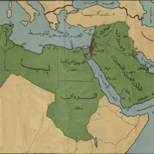 الهيمنة الحضرية في العالم العربي: أسبابها، ومظاهرها، وتداعياتها التنموية.