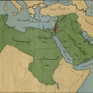 الهيمنة الحضرية في العالم العربي: أسبابها، ومظاهرها، وتداعياتها التنموية.