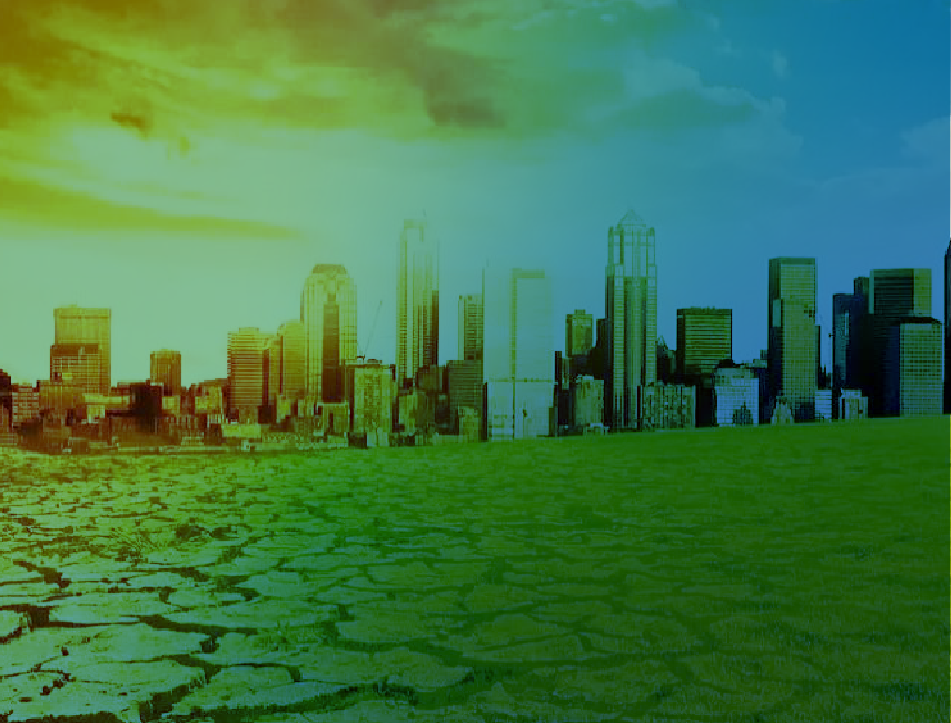 Urban Resilience: Designing Smart Cities for Crisis Preparedness